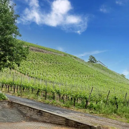 Charming Holiday In Dhron Neumagen-Dhron