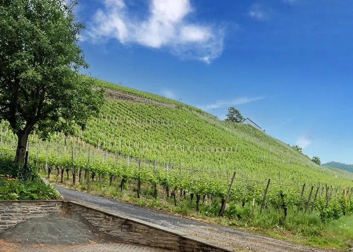 Charming Holiday In Dhron ノイマゲン・ダオン